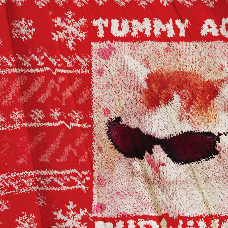 Tummy Ache Survivor Funny Cat Meme Christmas Ugly Sweatshirt