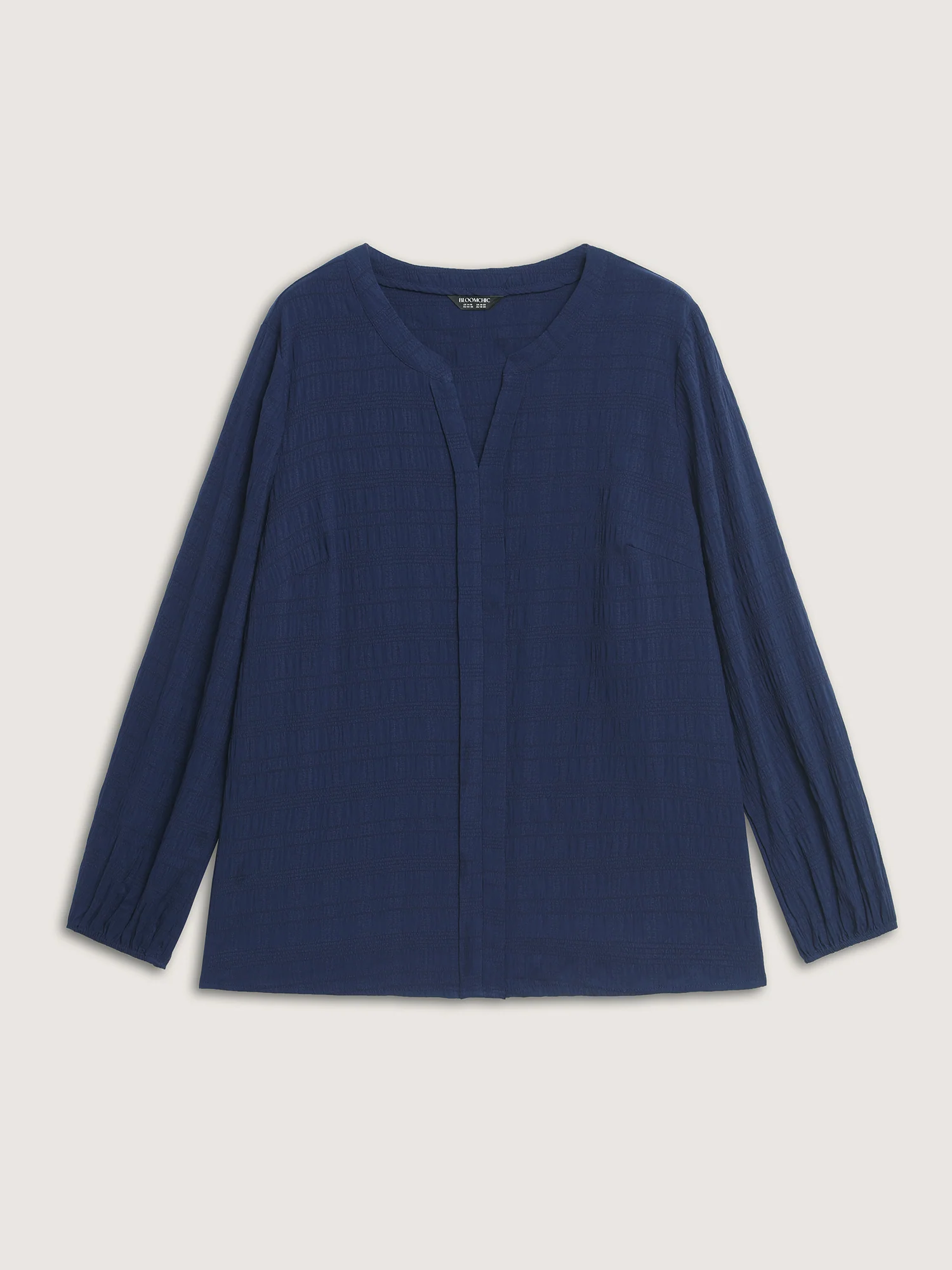 Notched Collar Textured Solid Blouse