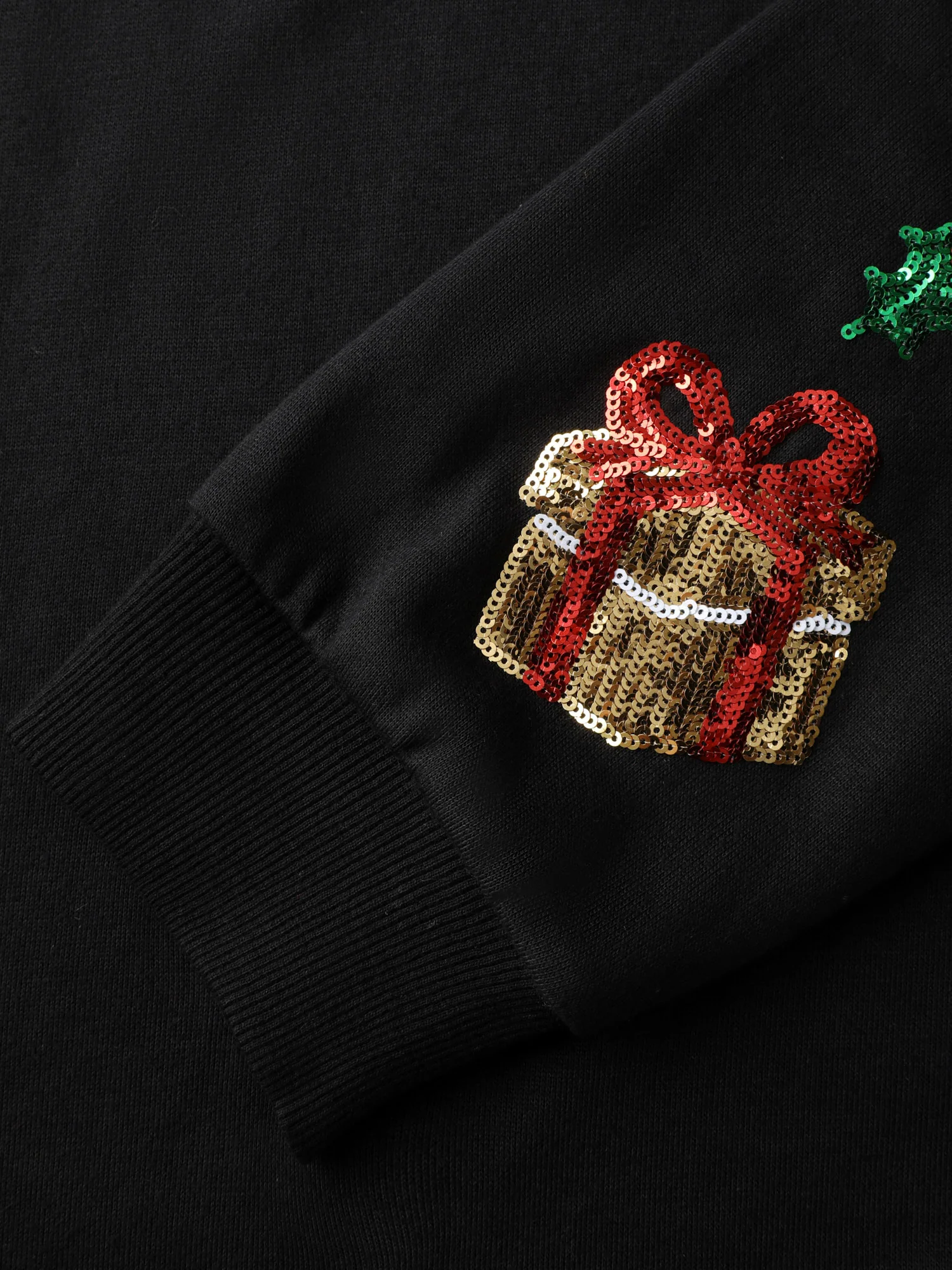 Holiday Sequin Embroidery Relaxed-Fit Sweatshirt