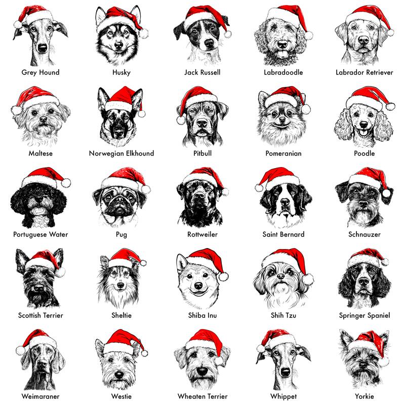 🎄Santa Paws Christmas Dog Sweatshirt – 50 Dog Breeds in Festive Santa Hat | Unisex Holiday Pullover🐶✨