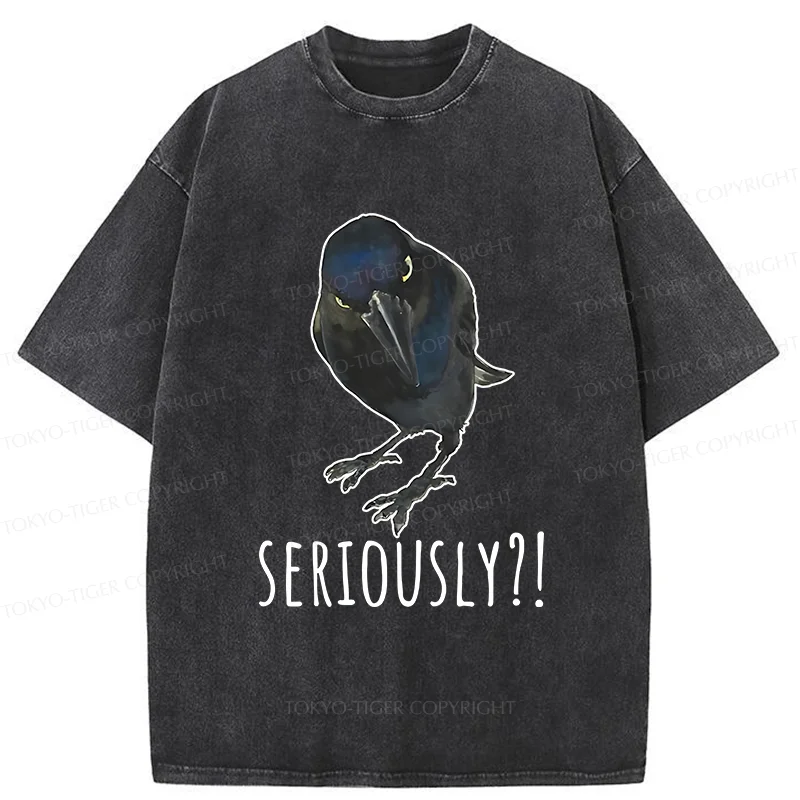 Raven's Question Washed T-Shirt