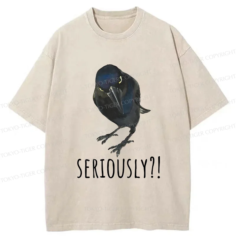 Raven's Question Washed T-Shirt