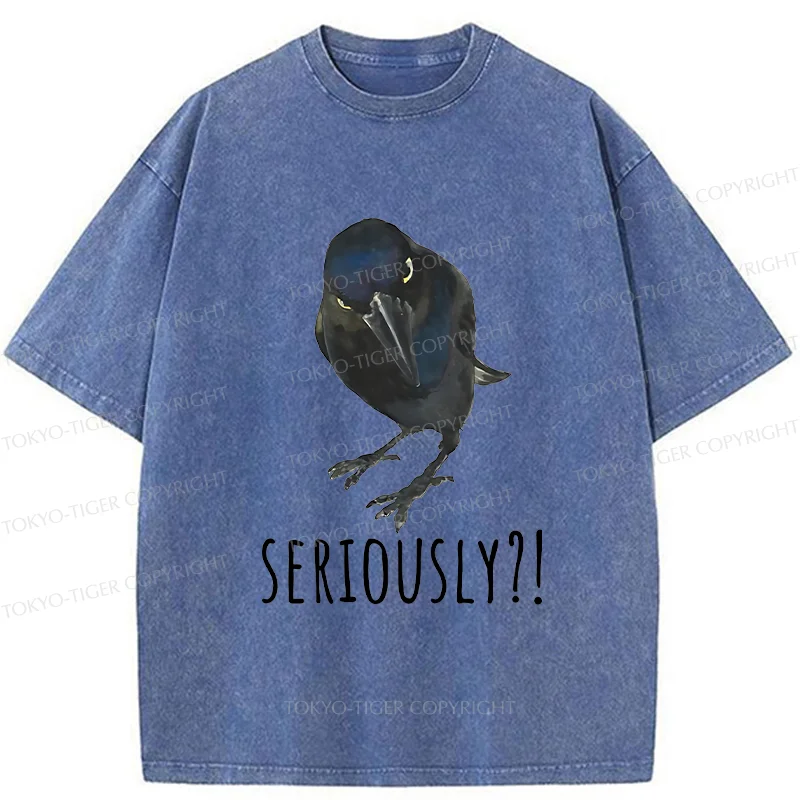 Raven's Question Washed T-Shirt
