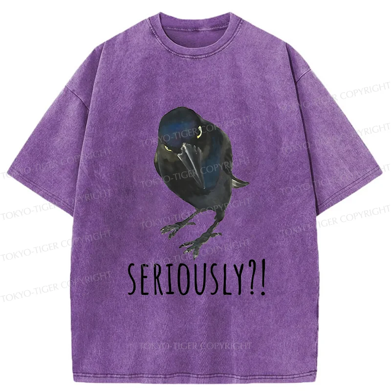 Raven's Question Washed T-Shirt