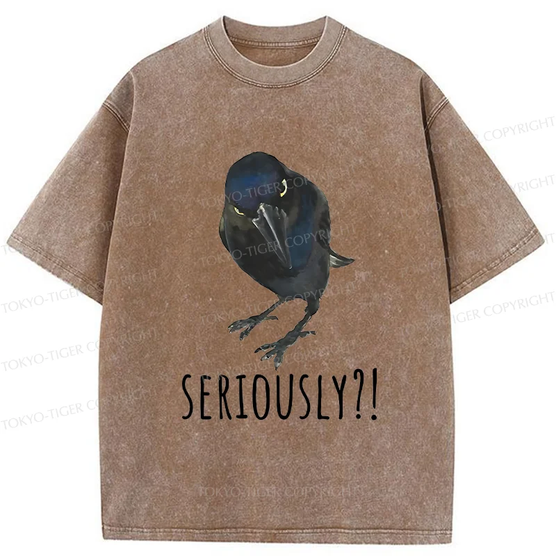 Raven's Question Washed T-Shirt