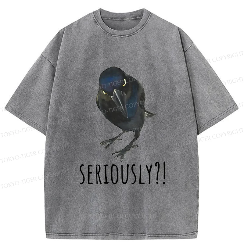 Raven's Question Washed T-Shirt
