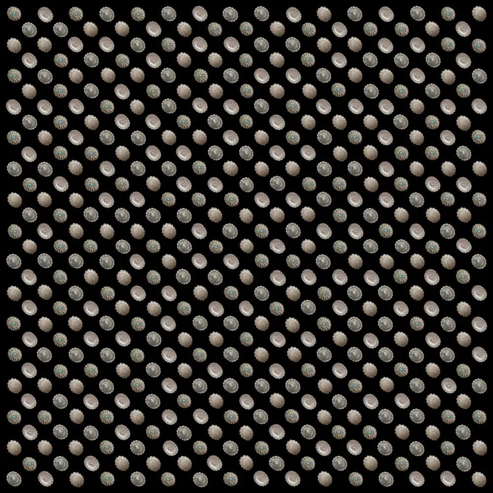 Western Wild Rags (Concho Canyon) Black Scarf