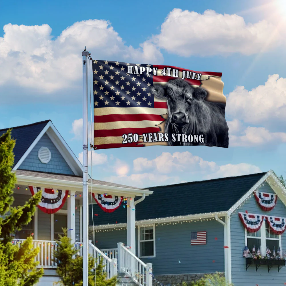 Black Angus Cattle Flag, 250 Years Strong Patriotic Cow Farm Grommet Flag