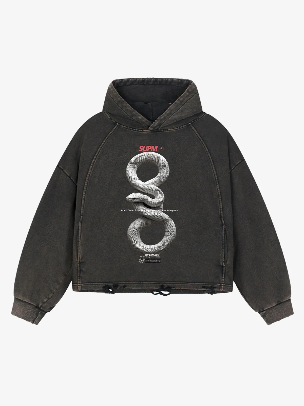 Vintage Washed Snake Appliqué Pullover Hoodie