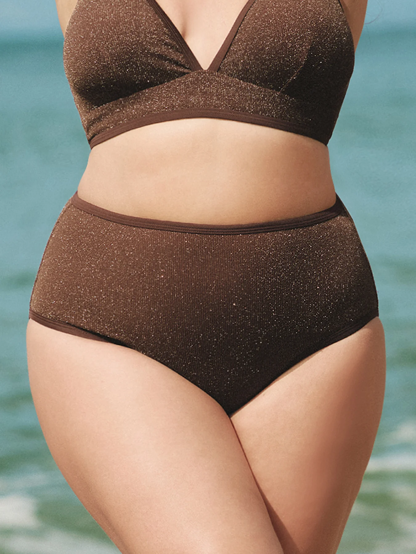 Dark Coffee Lurex Plus Size Bikini Bottom
