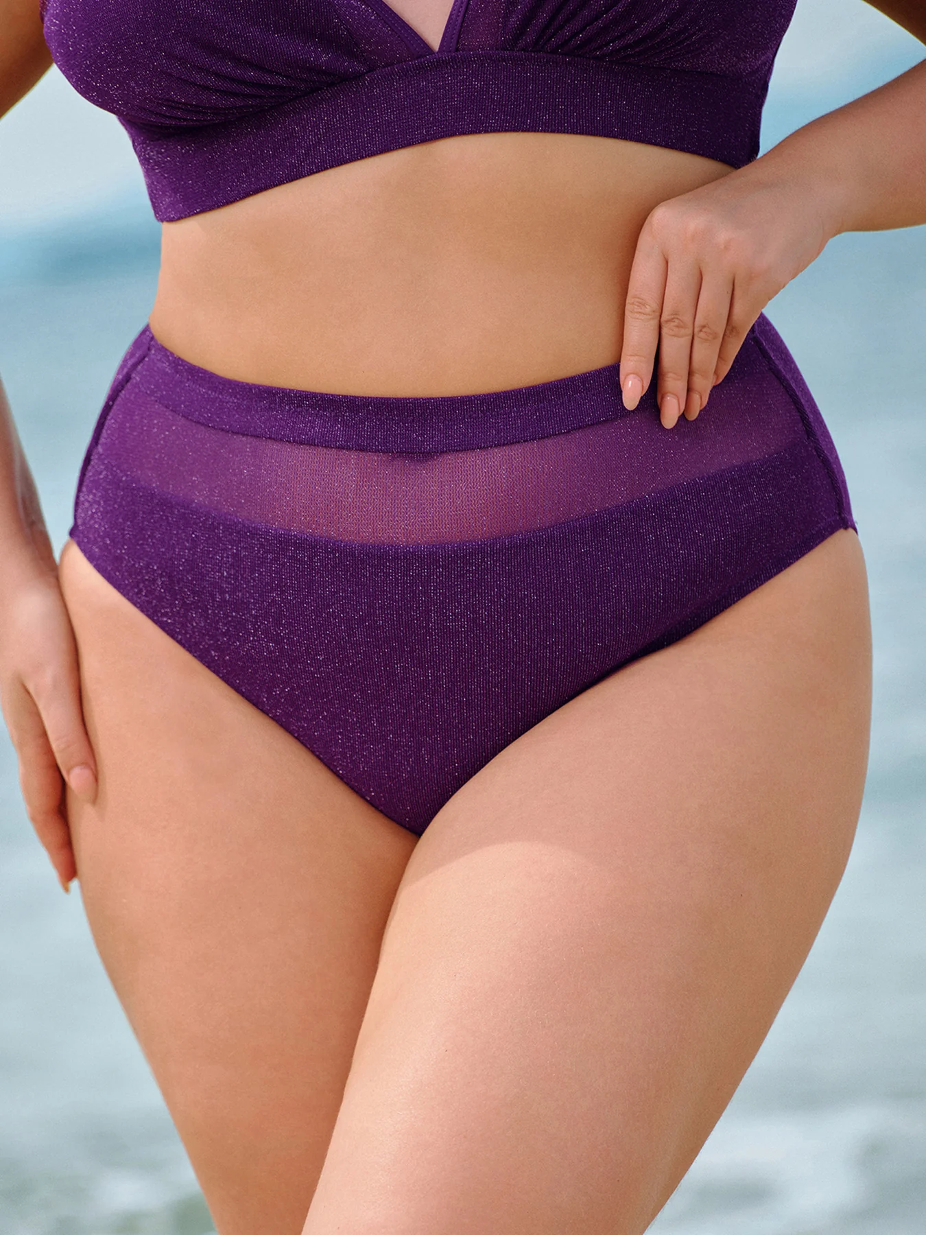 Purple Mesh Plus Size Bikini Bottom