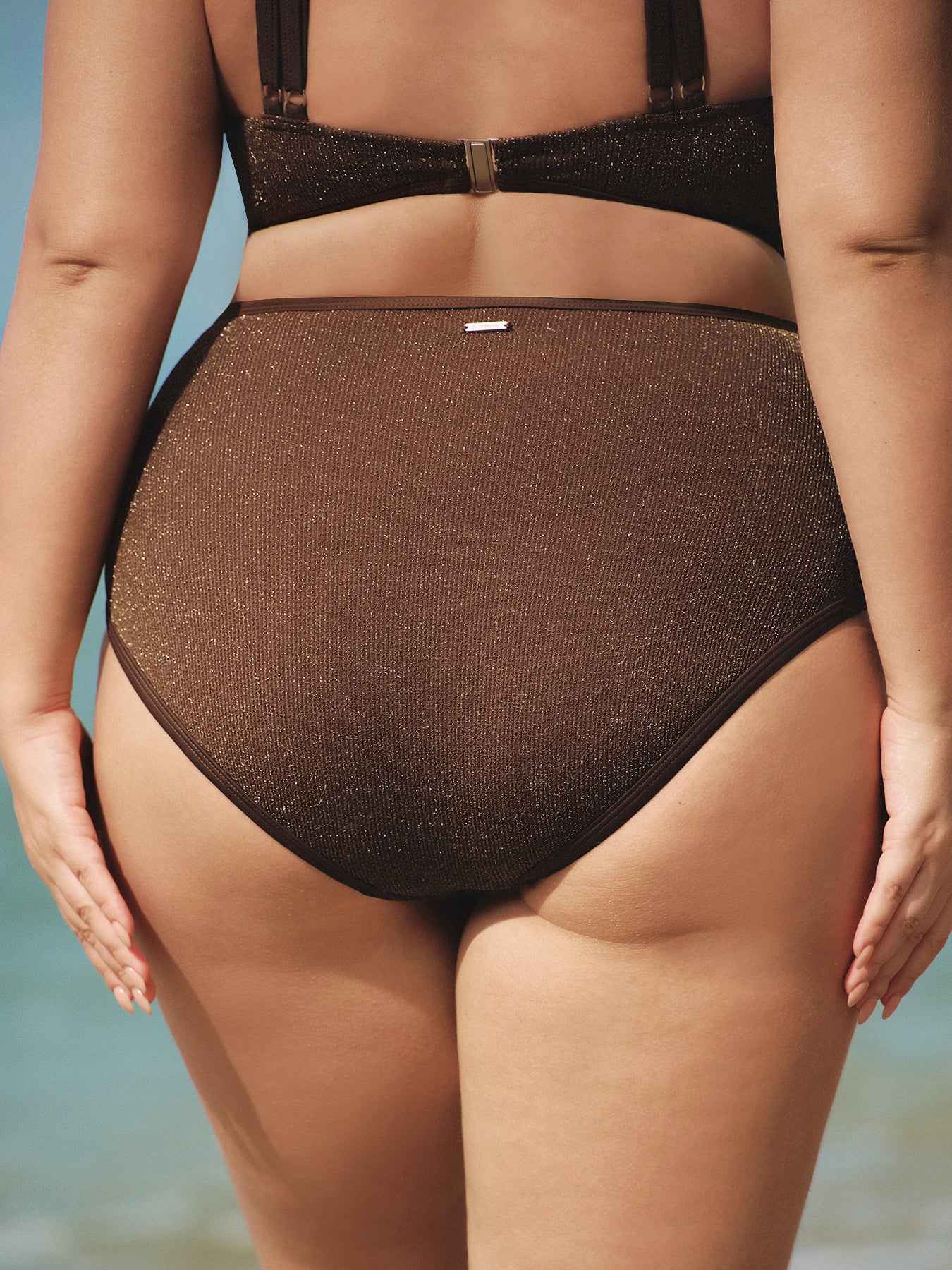 Dark Coffee Lurex Plus Size Bikini Bottom