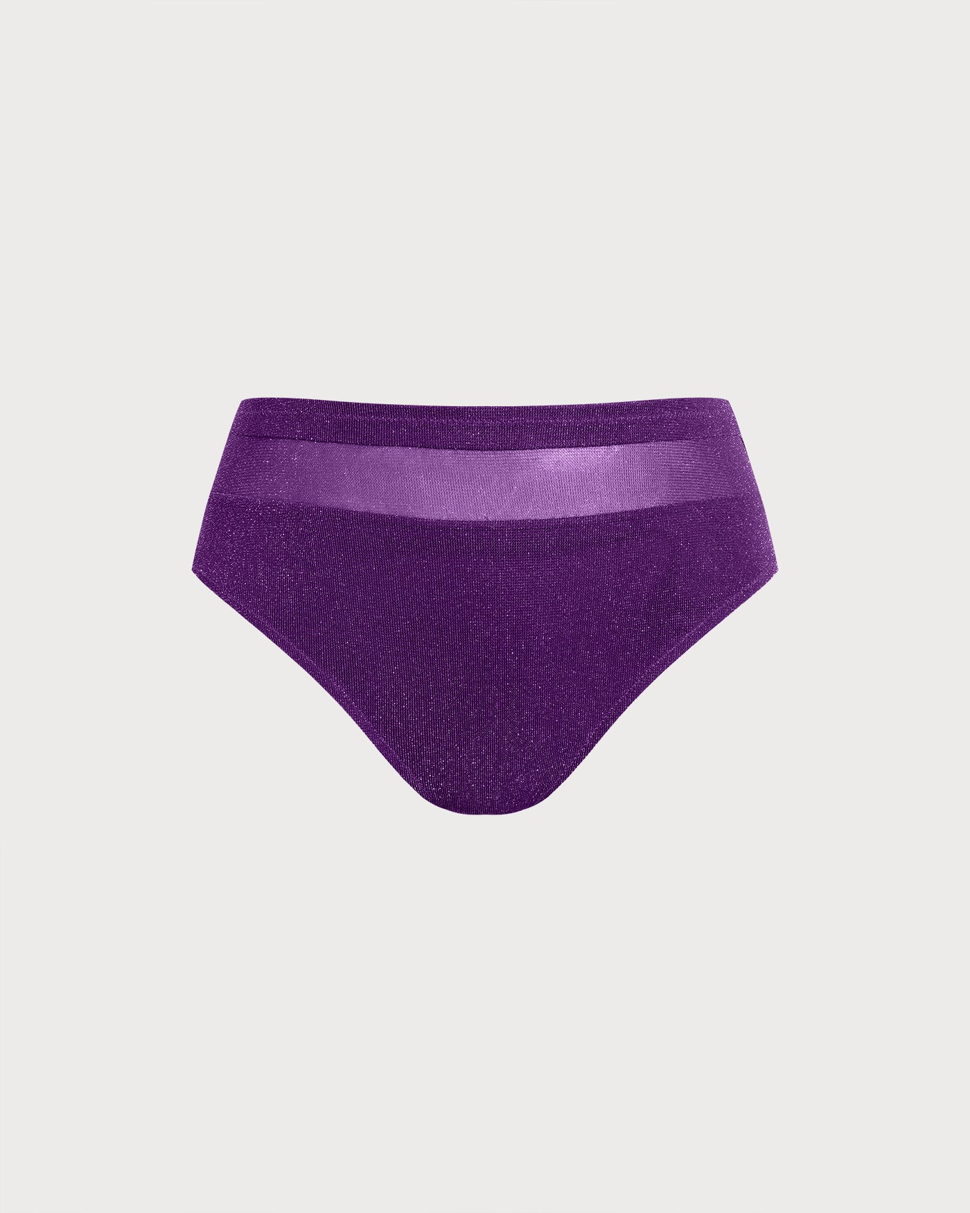 Purple Mesh Plus Size Bikini Bottom
