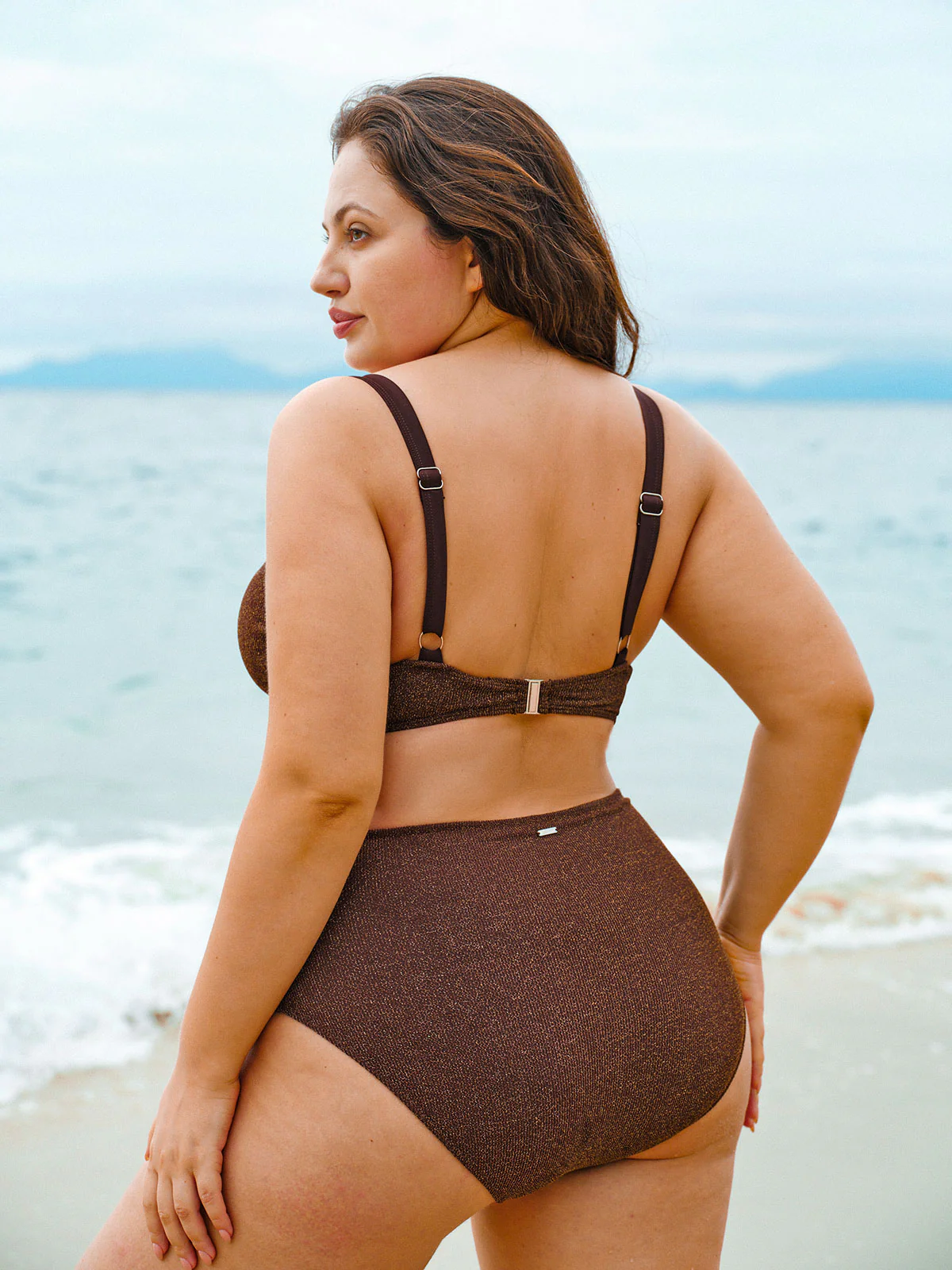 Dark Coffee V Cut Plus Size Bikini Bottom