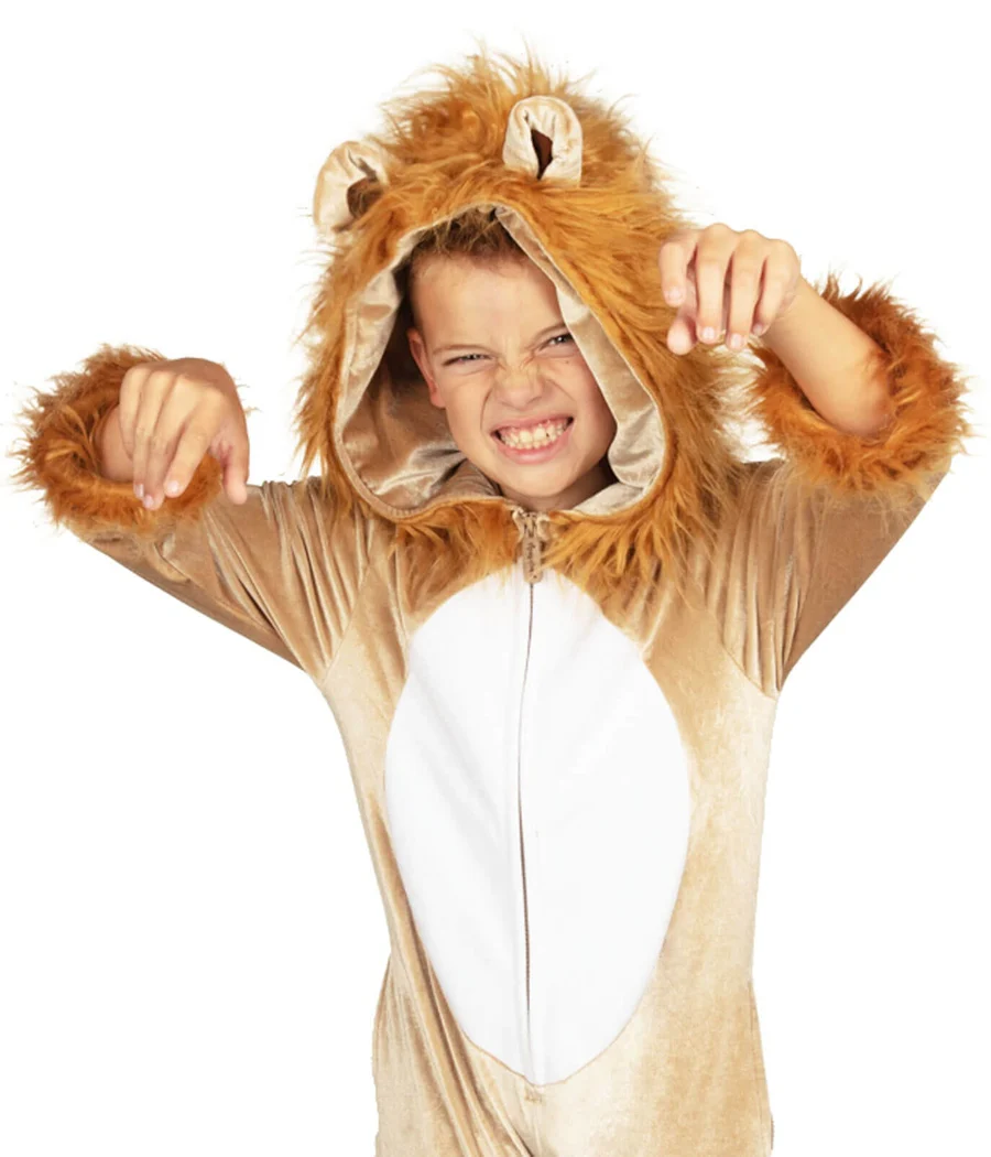 Boy's Lion Costume