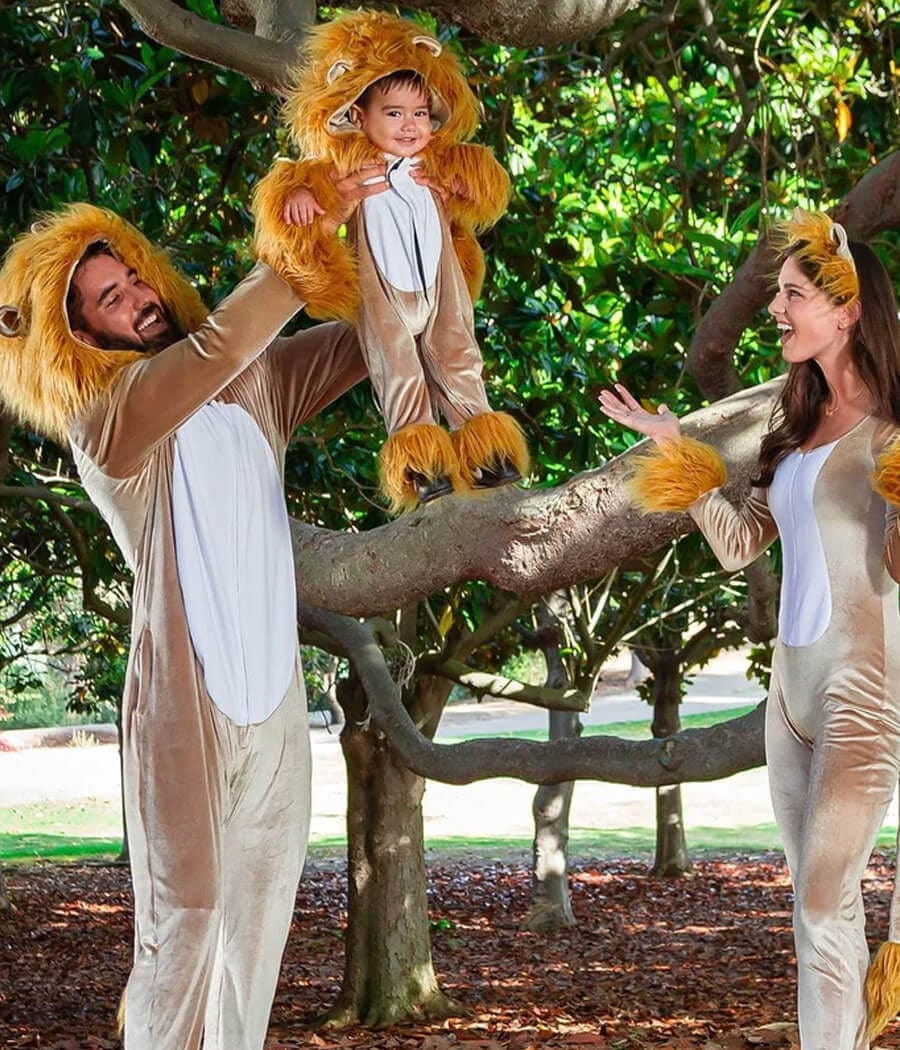 Toddler Boy's Lion Costume