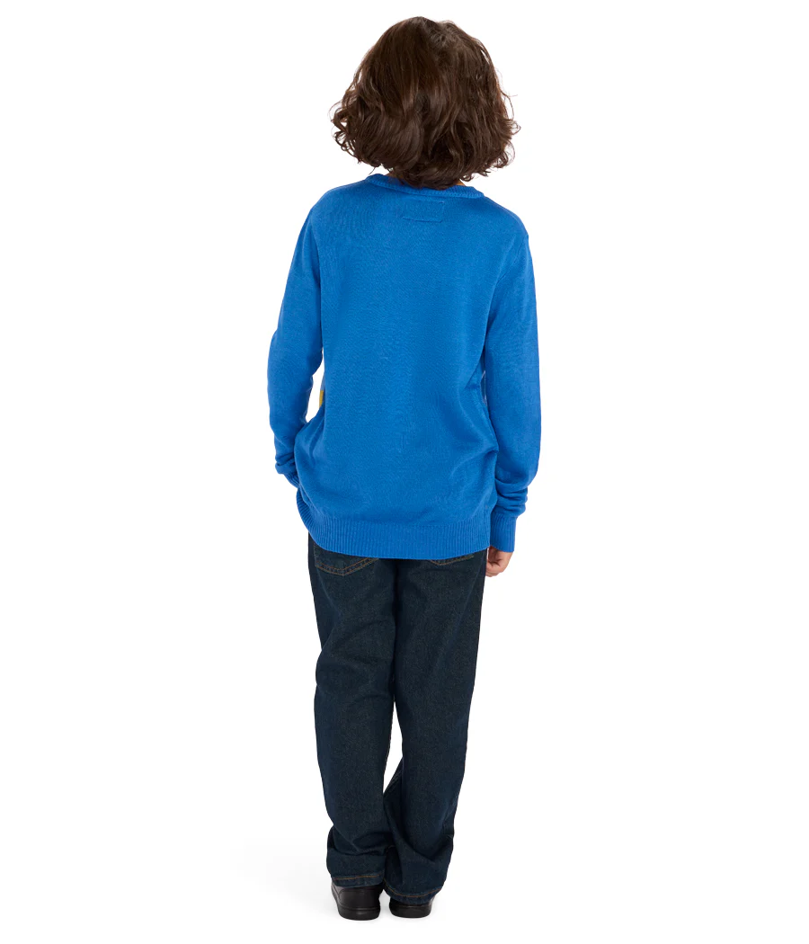 Boy's Jewnicorn Sweater