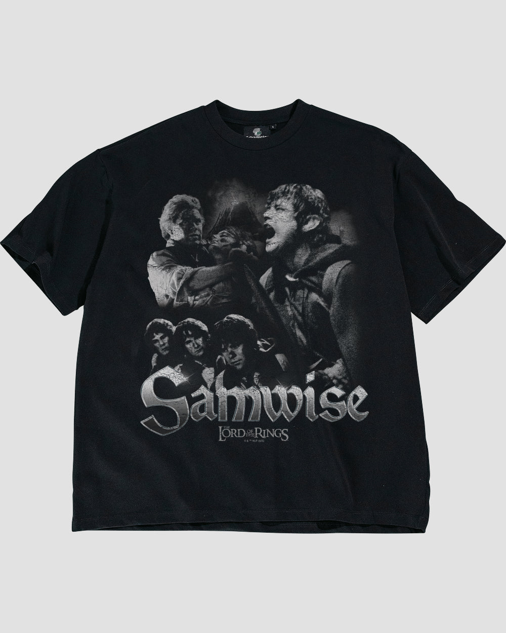 Samwise Oversized Tee