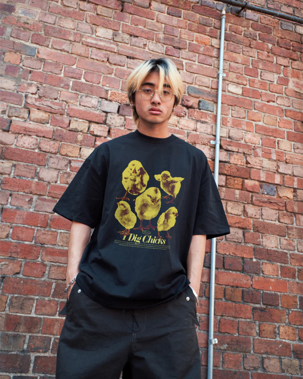 I Dig Chicks T-Shirt