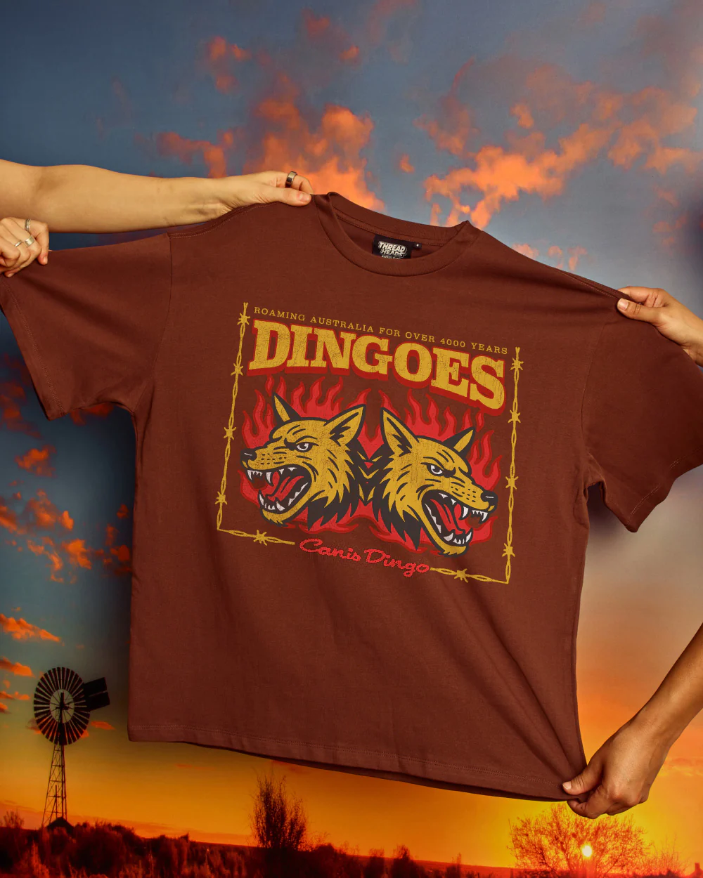 Territory Dingoes Oversized Tee