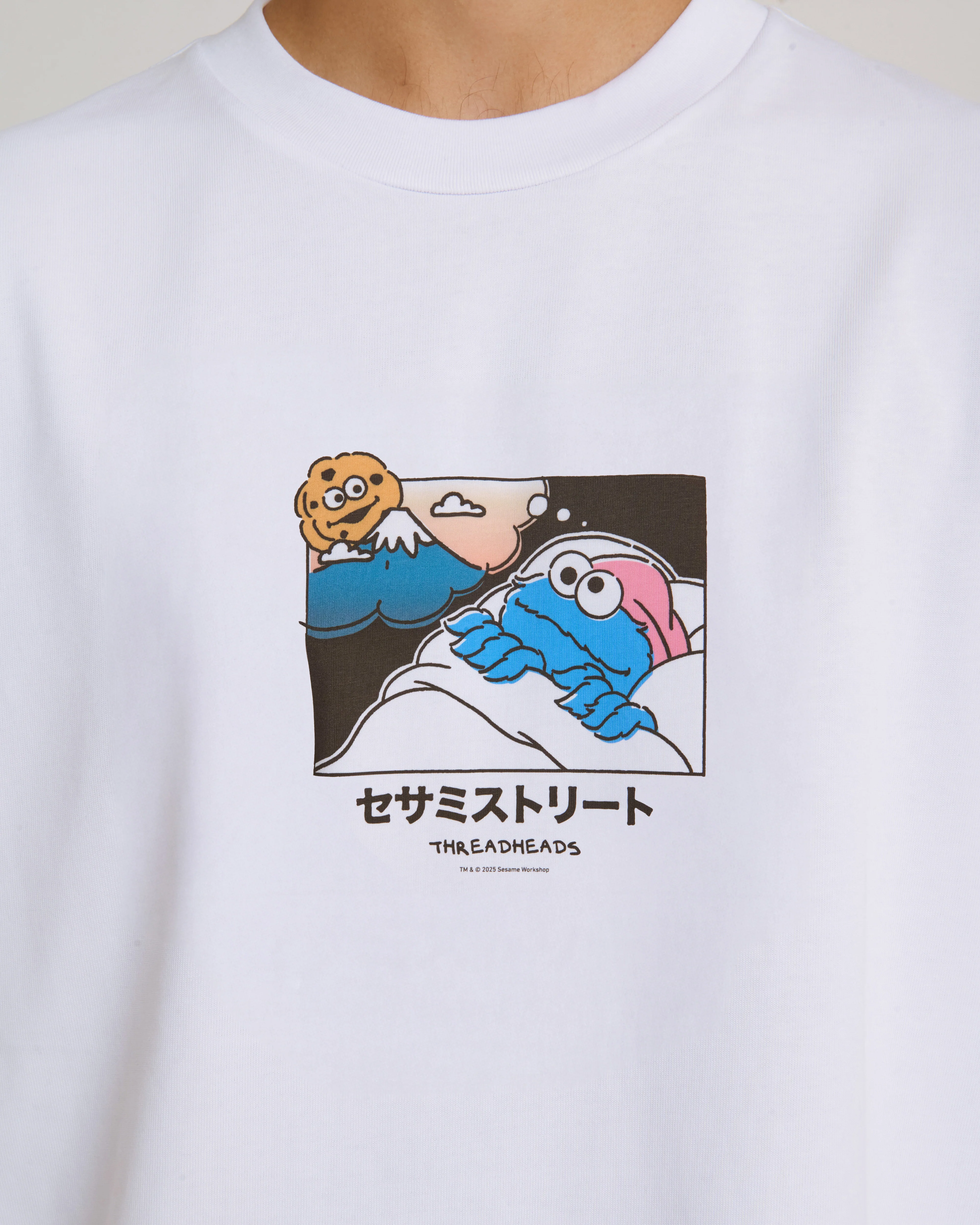 Cookie Monster Fuji Dreaming Oversized Tee